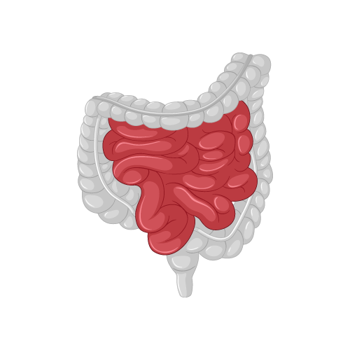 Gastrointestinal