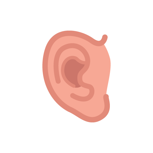 Otorrinolaringológica