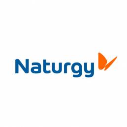 INCIPY casos de exito cliente naturgy transformacion modelo servicio logo