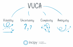 incipy vuca